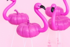 Lawn Flamingo Pumpkins