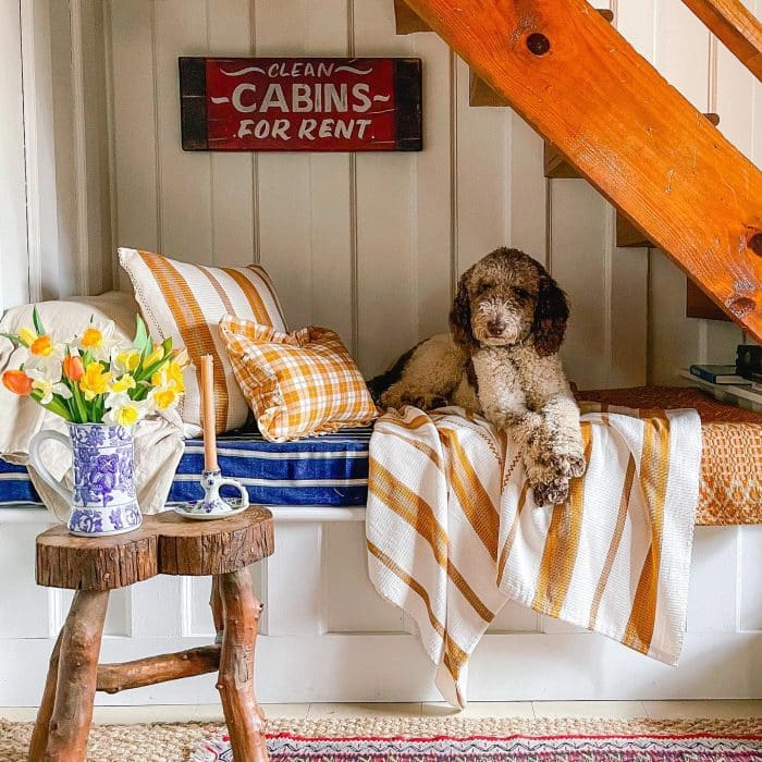 traditional style reading nook under the stairs with a doodle dog.