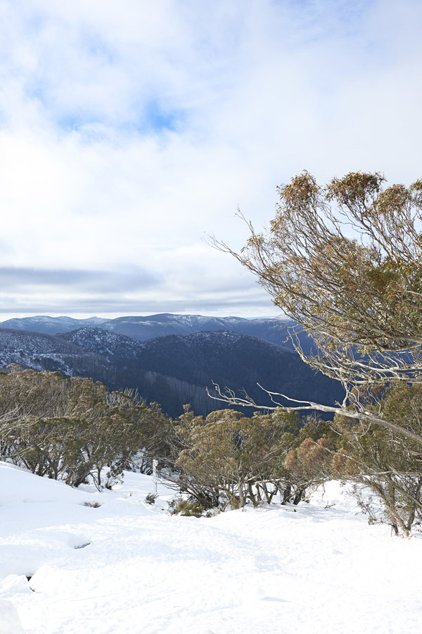 mtbuller-bluesky