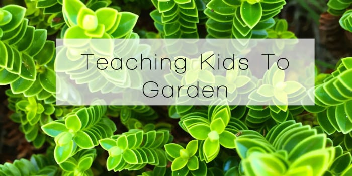 Teaching Kids Garden