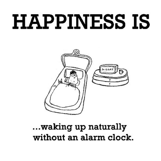 Wake Up Happy With Natural Alarm Clocks
