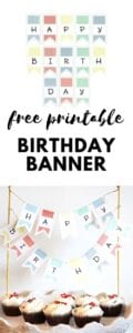 Printable Birthday Cake Banner - Brooklyn Berry Designs
