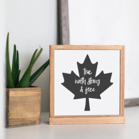 wood sign with a maple leaf and the text "True North Strong And Free" - great Canadian home decor