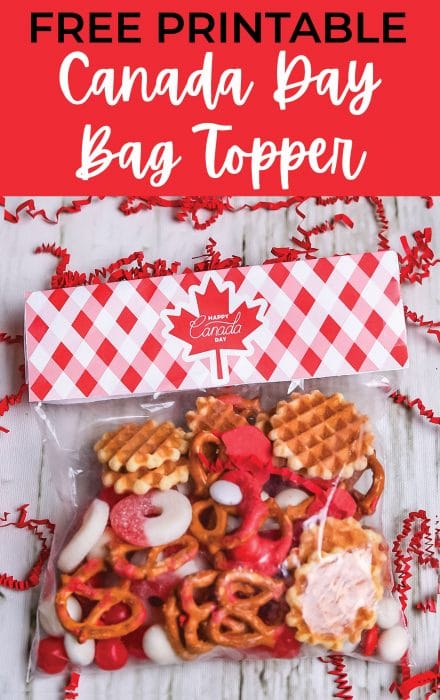 a bag of canadian themed treats with a cute Canada themed paper bag topper.