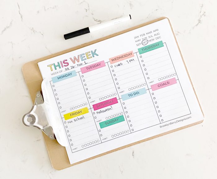 Looking for a undated weekly planner page? Check out this free printable weekly planner.