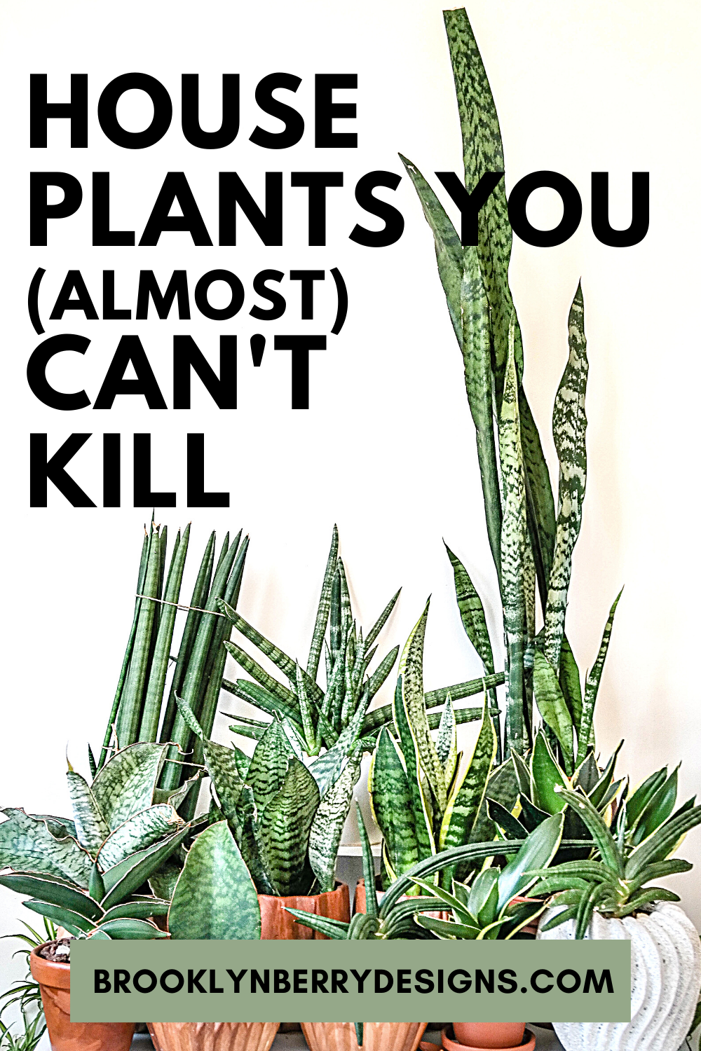 HOUSE PLANTS YOU CANT KILL Brooklyn Berry Designs