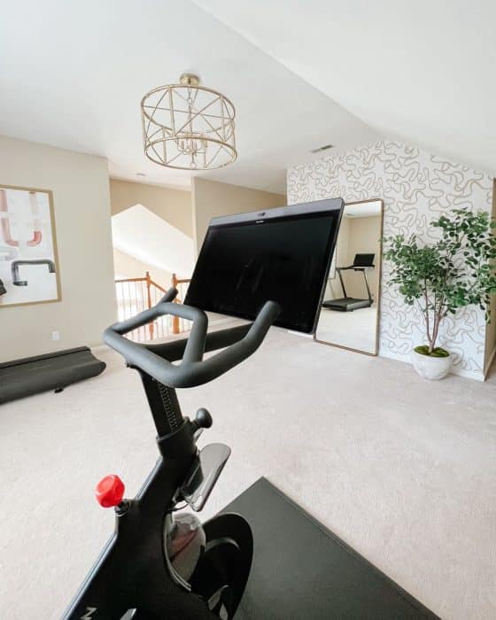 pretty room with peloton bike