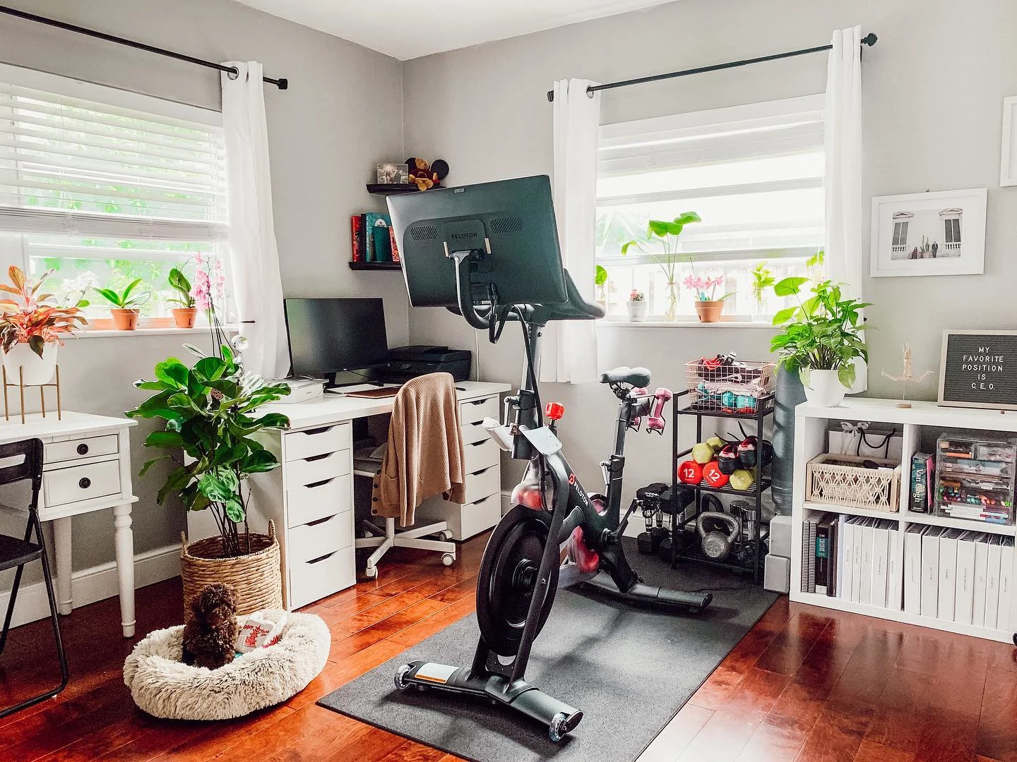 small space peloton room shared with office