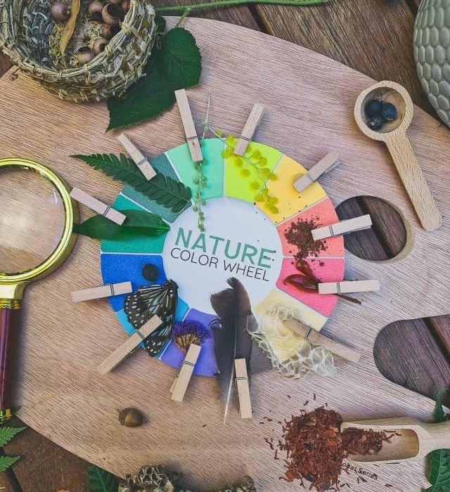 Nature color wheel printable with clothes pins to find items in nature from every color of the rainbow.
