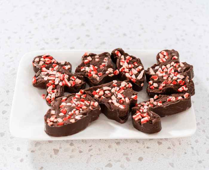 Treat plate with cookie cutter peppermint fudge